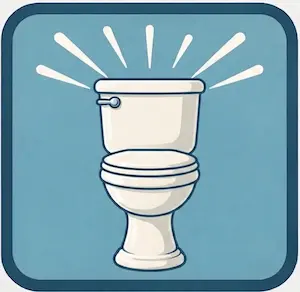 Odštopavanje WC-a